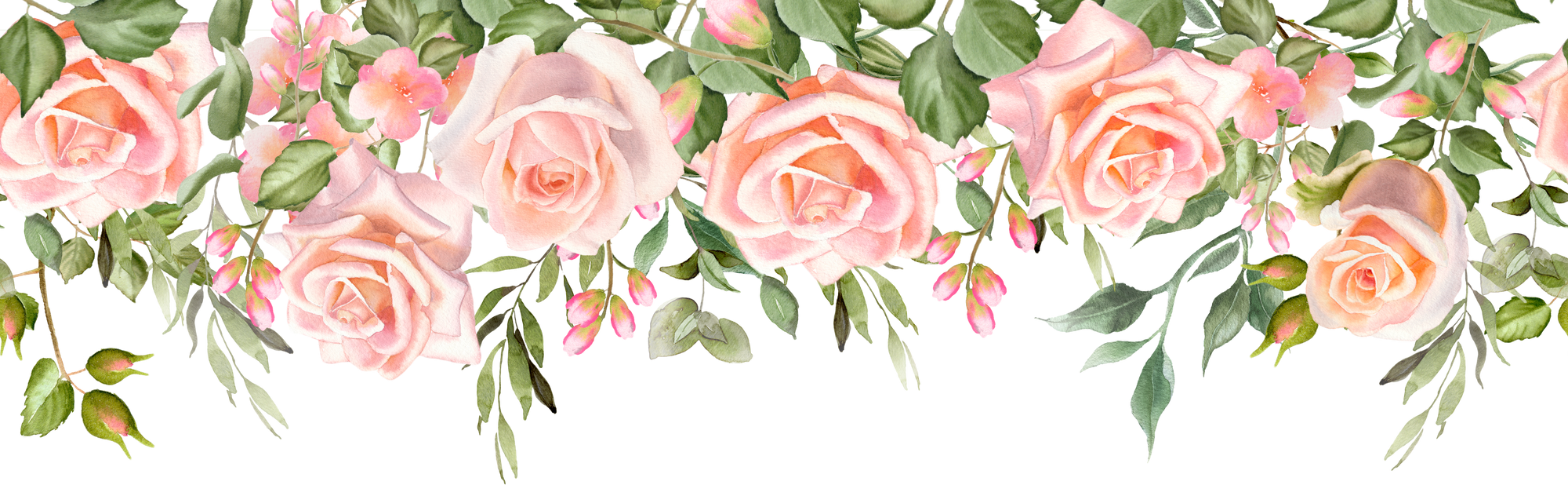 Rose flower repeating border. Watercolor floral illustration