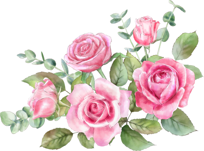 Pink Roses PNG